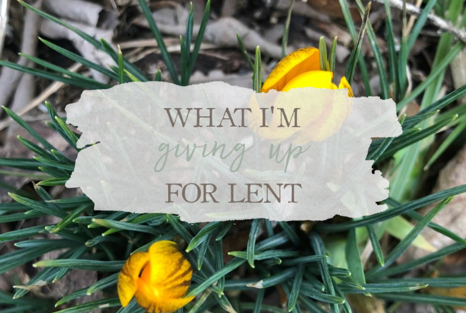 What I’m Giving Up For Lent | Growing Up Herbal