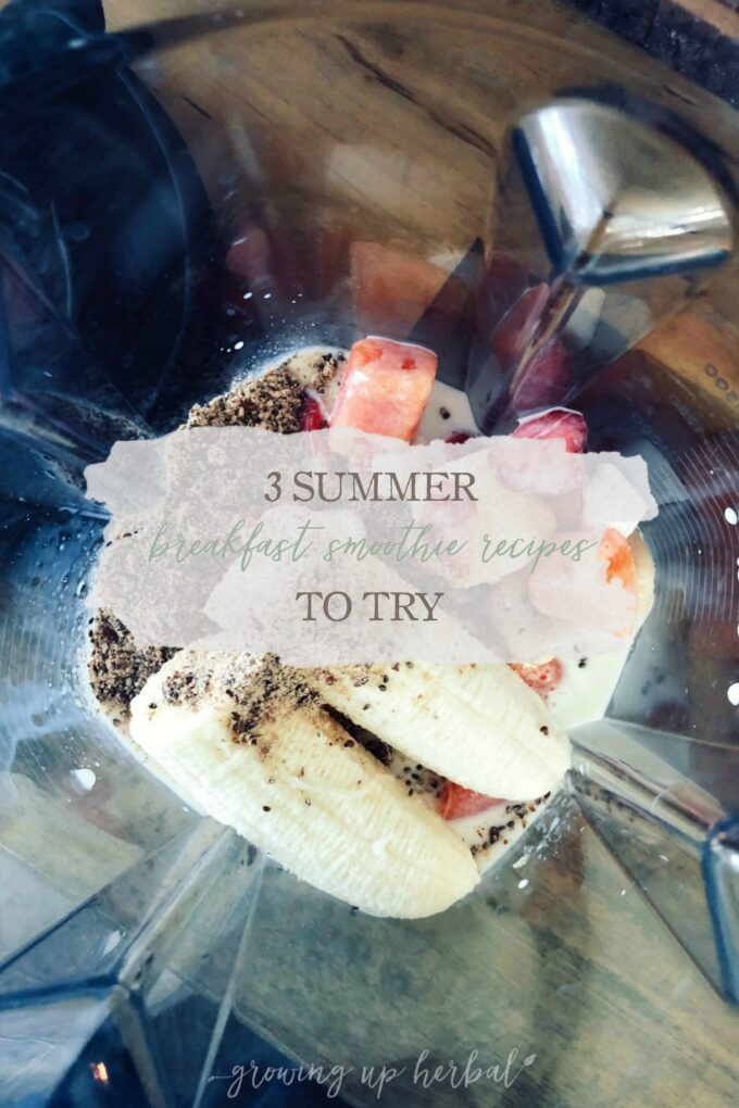 3 Summer Breakfast Smoothie Recipes To Try | Growing Up Herbal | These summer breakfast smoothie recipes are vegan, sugar-free, tasty, and super nutritious for your body! They're sure to become a new breakfast favorite! 