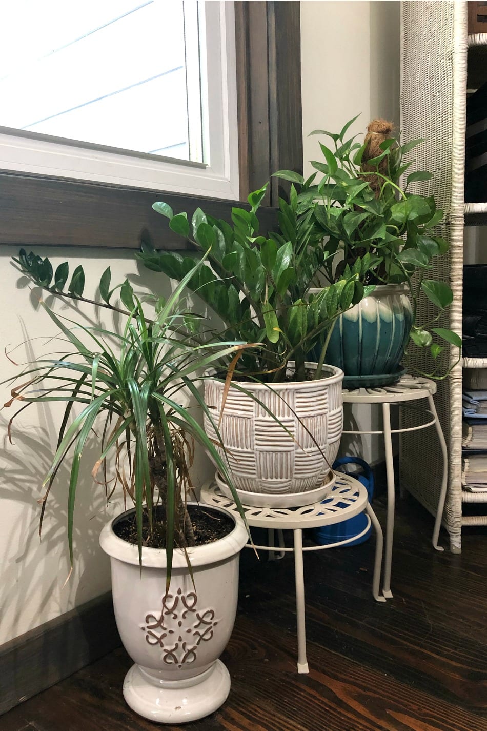 14 Air-Purifying Houseplants For Clean Air & A Beautiful Home | Growing Up Herbal | Here are 14 air-purifying houseplants that are great for indoors, easy to grow and care for (even for beginners), and make lovely additions to your home!