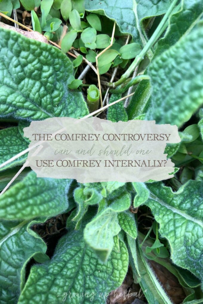 Comfrey Controversy: Can and Should One Use Comfrey Internally | Growing Up Herbal | Should you use comfrey internally? This article will explore the benefits, traditional uses, and safety of comfrey to answer this commonly debated question.