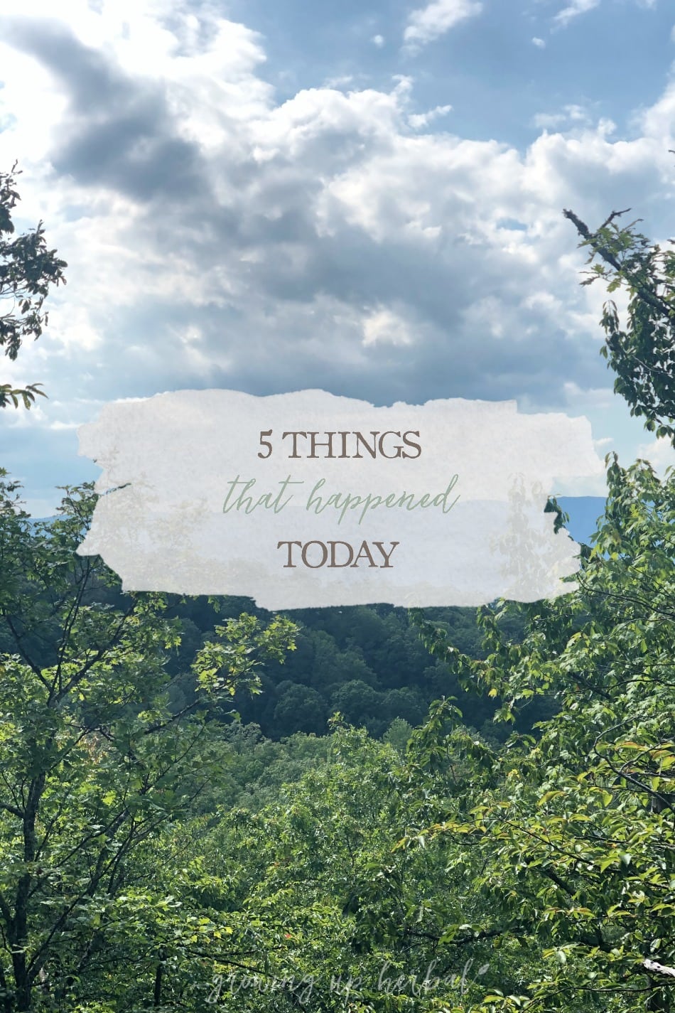 5 Things That Happened Today | Growing Up Herbal | Here's a little peak at five good things from today!