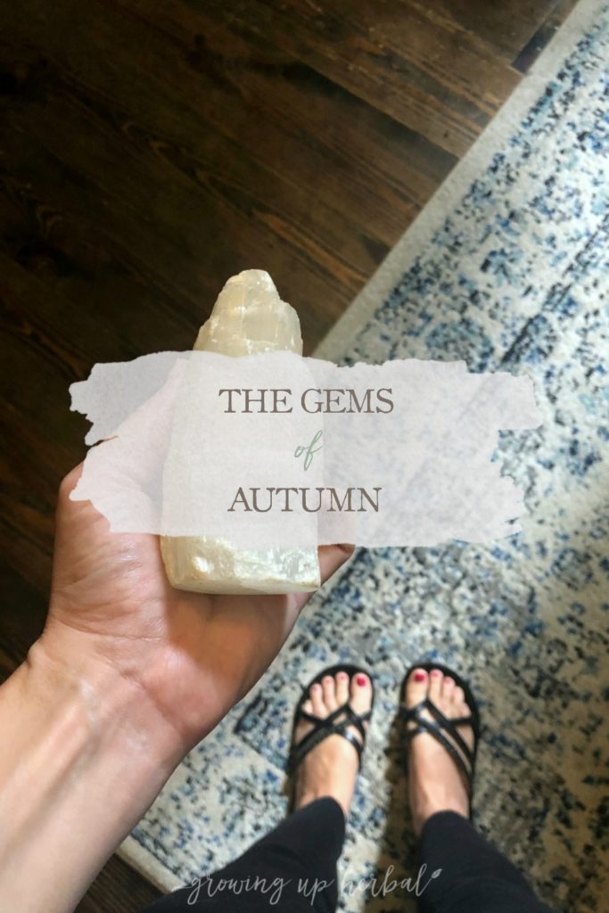 The Gems of Autumn | Growing Up Herbal | The autumn season is here, and October’s seasonal living mini magazine will be landing in your inbox soon.