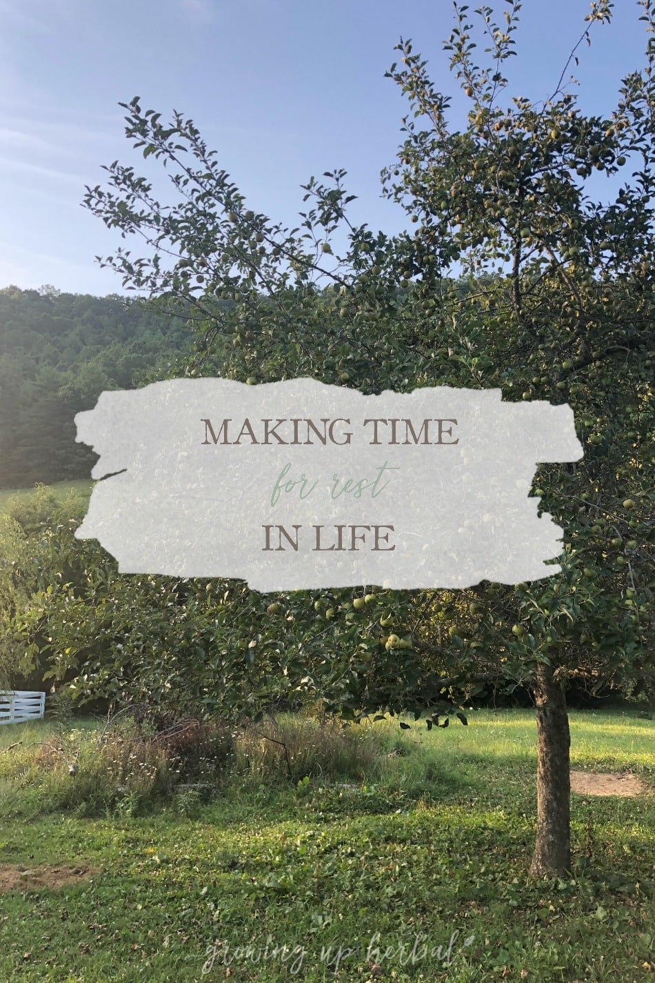 Making Time For Rest In Life | Growing Up Herbal | I’ve been thinking a lot about rest and how to incorporate more of it into my life in my morning devotions lately. Here’s what I’m learning.