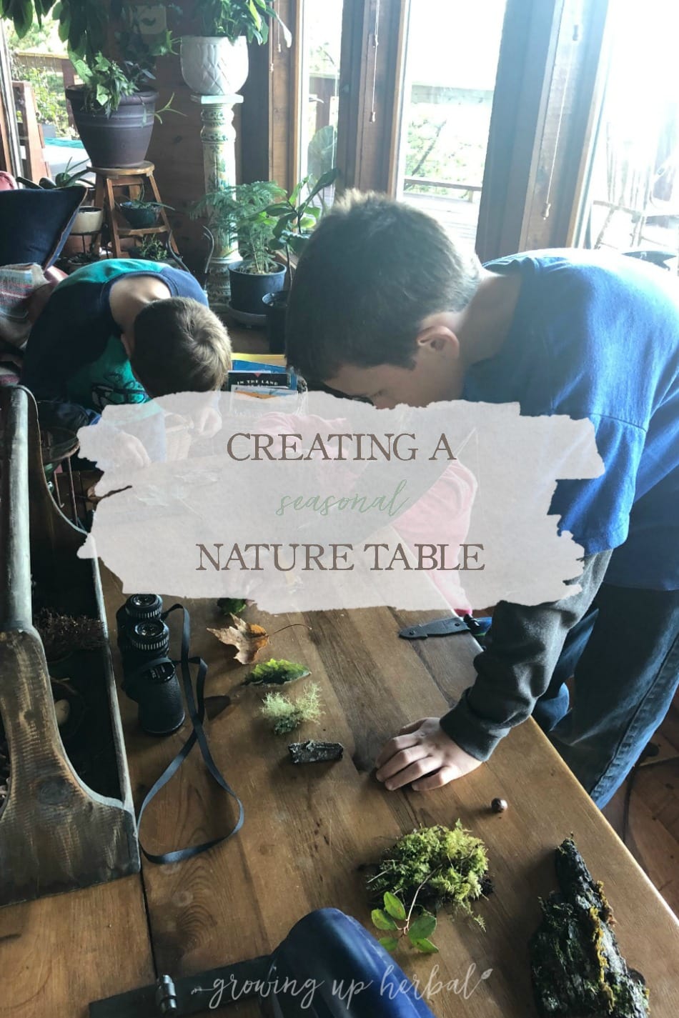 Creating A Seasonal Nature Table | Growing Up Herbal | Here’s how to create a simple seasonal nature table for your homeschool science or nature study lessons.