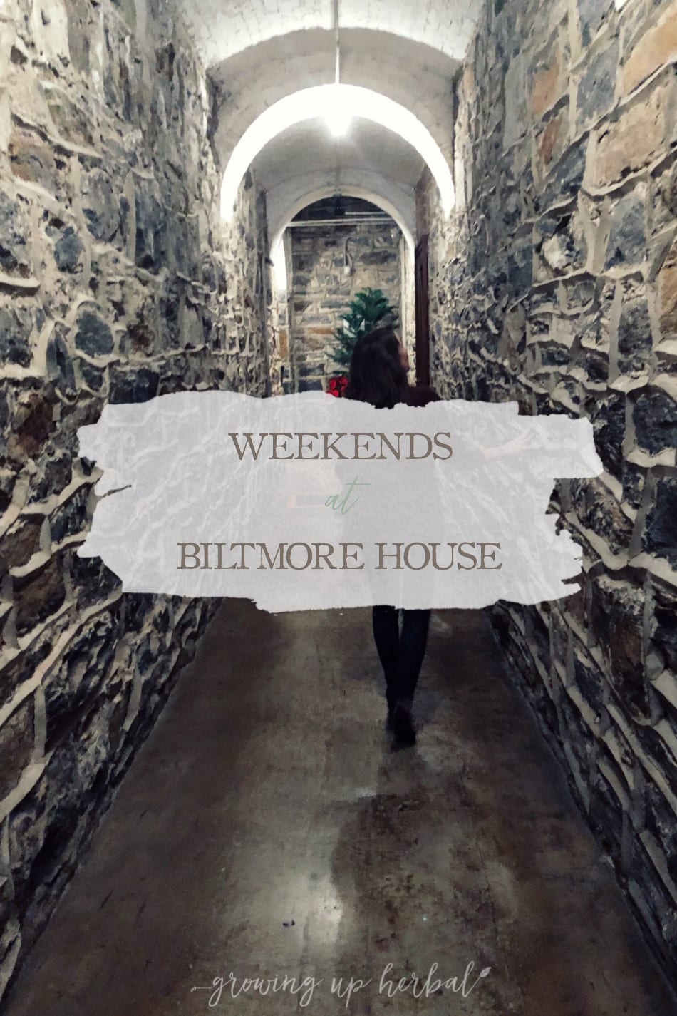 Weekends At Biltmore House | Growing Up Herbal | We're forgoing monthly date nights this year, and instead, taking quarterly weekend trips to Biltmore House in Asheville, NC—one of my favorite places!