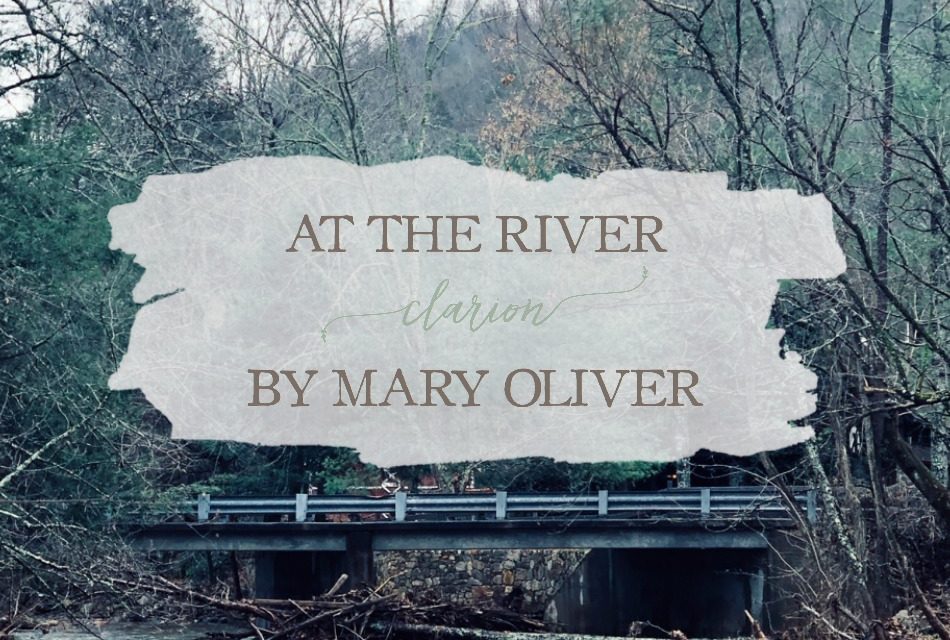 At the River Clarion” by Mary Oliver | Growing Up Herbal