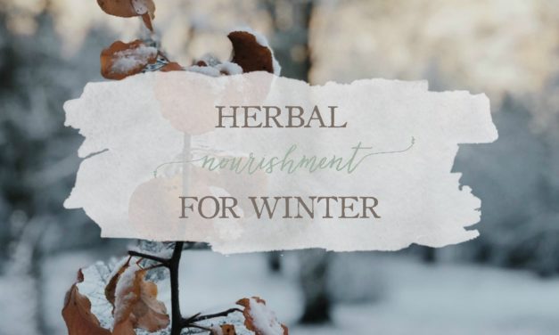 Herbal Nourishment for Winter | Growing Up Herbal | Winter has always been a time to slow down and rest. It’s also the perfect time to incorporate some herbal nourishment into your diet. Learn how here.