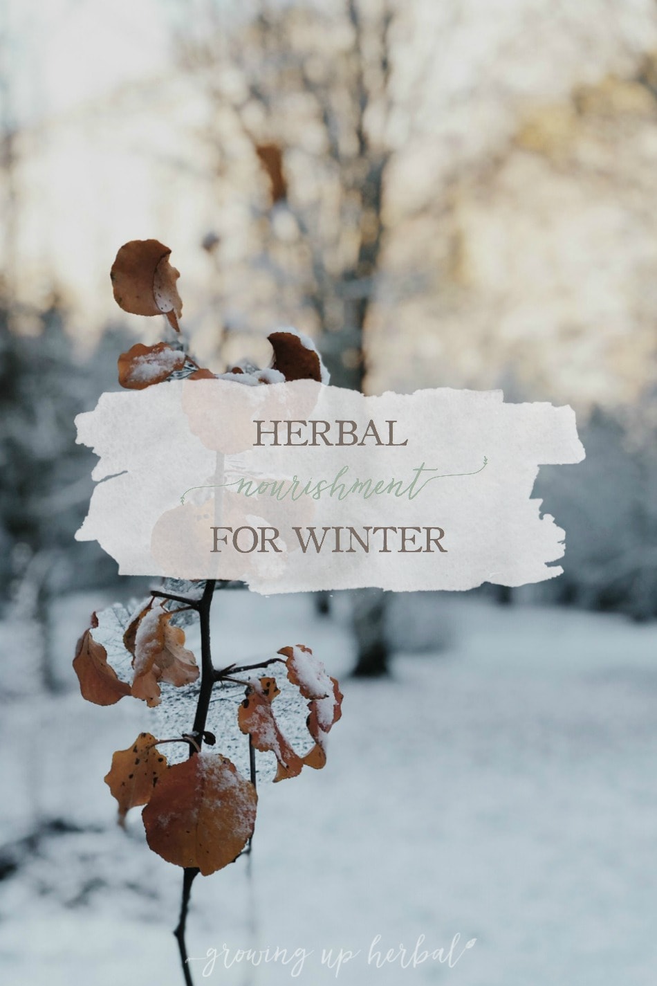 Herbal Nourishment for Winter | Growing Up Herbal | Winter has always been a time to slow down and rest. It’s also the perfect time to incorporate some herbal nourishment into your diet. Learn how here.