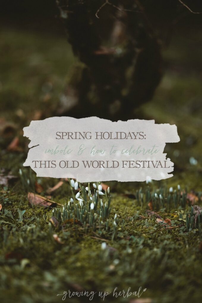 Spring Holidays: Imbolc & How To Celebrate This Old World Festival | Growing Up Herbal | Curious about seasonal living? If so, learn about the spring holiday of Imbolc, aka, Candlemas or St. Brigid's Day, and some festive ways to celebrate it.