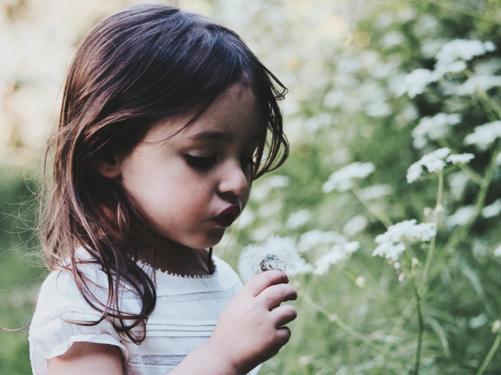 child blowing a dandelion