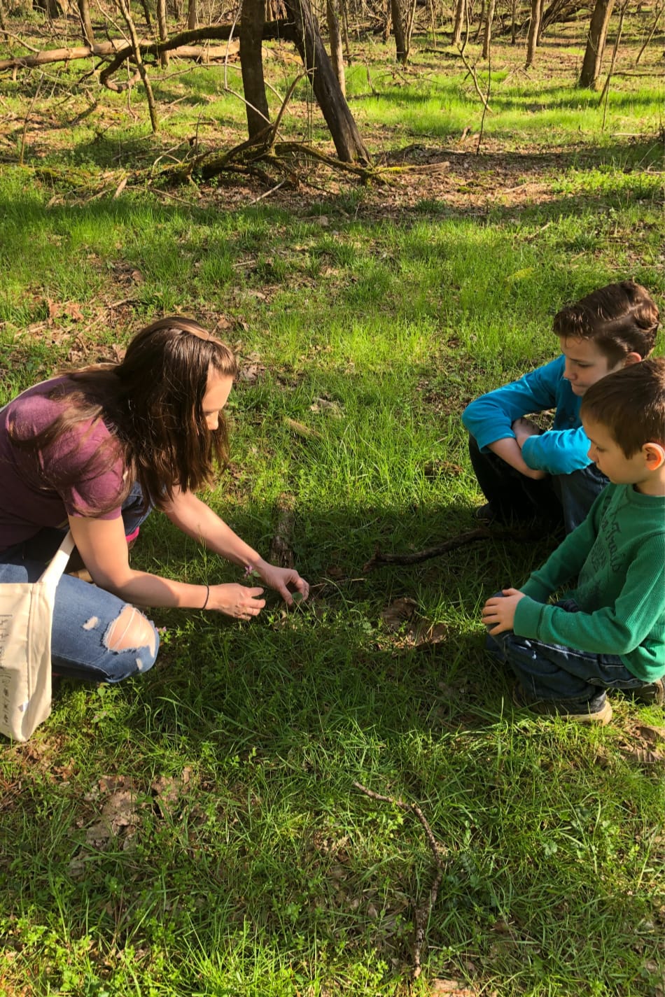 foraging spring herbs with kids