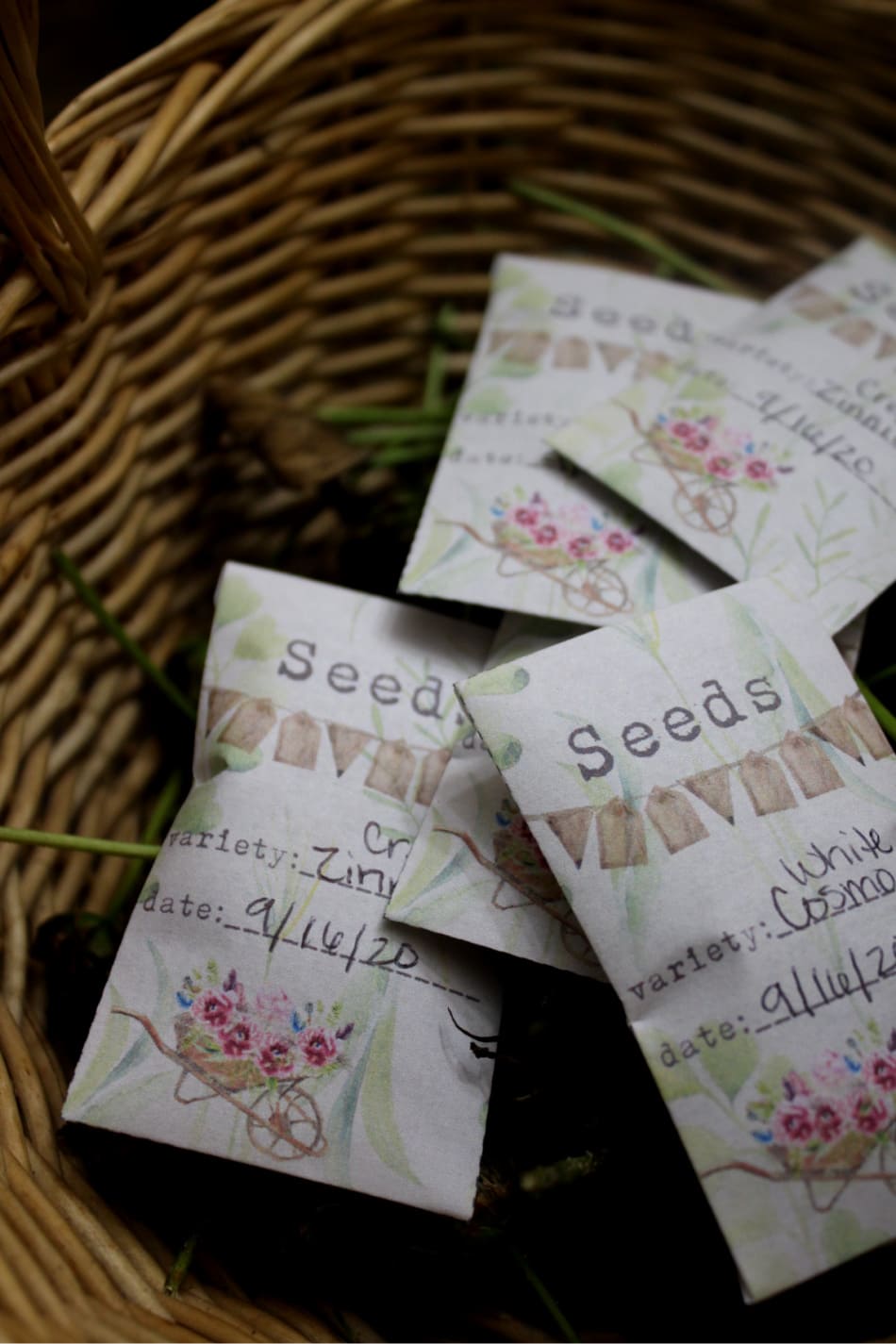 homemade seed saver packets