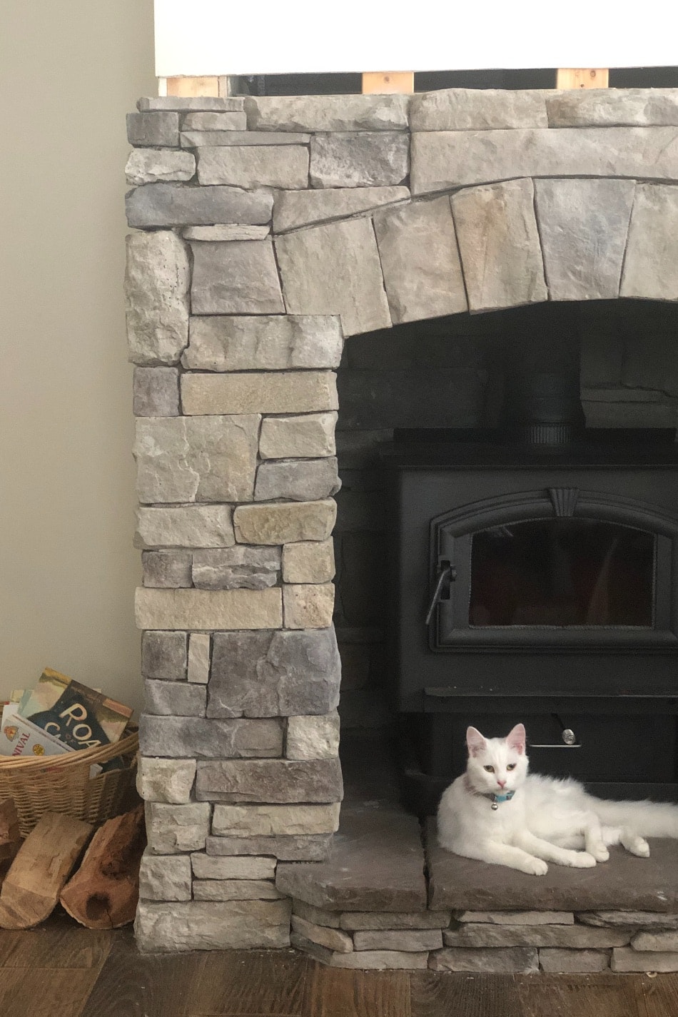cat laying in front of fireplace