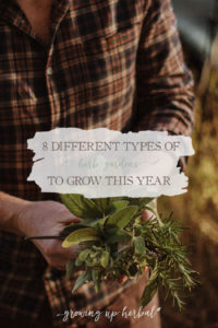 8 Different Types of Herb Gardens To Grow This Year - Growing Up Herbal