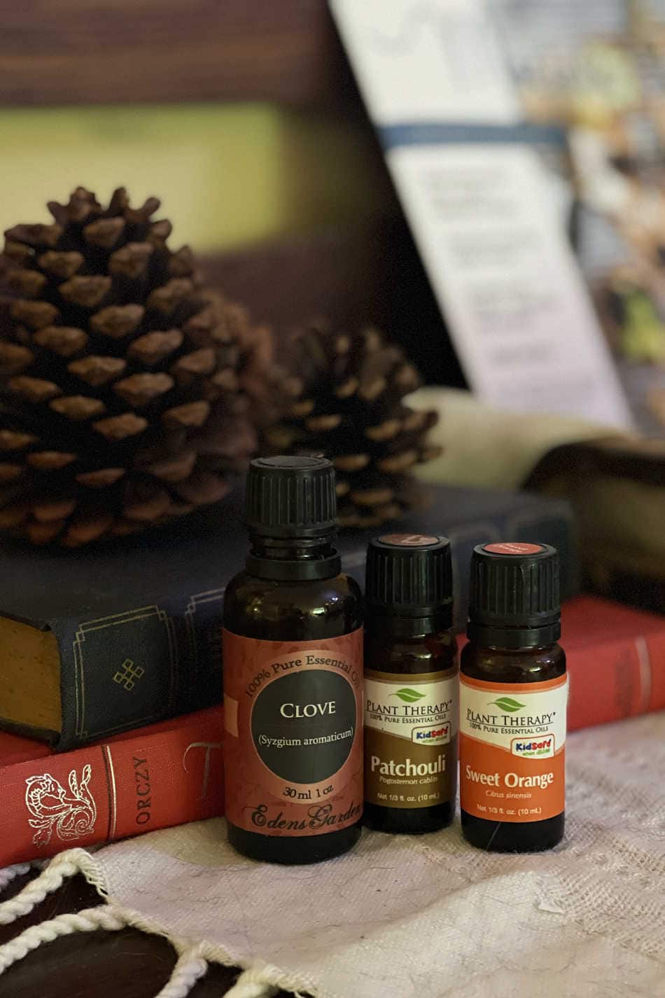 4 Autumn Essential Oil Blends to Give You All the Fall Feelings | Growing Up Herbal | Looking for those fall feelings? If so, here are 4 autumn essential oil blends to add to your diffuser to put you in the fall mood!