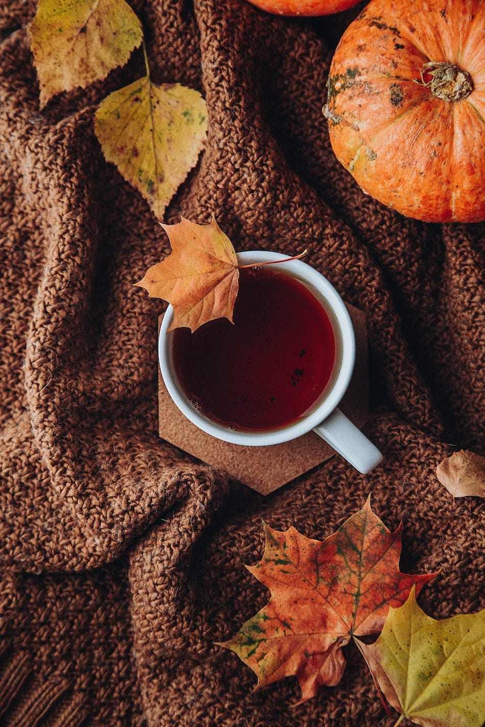 autumn herbal tea on blanket surrounded by pumpkins and leaves