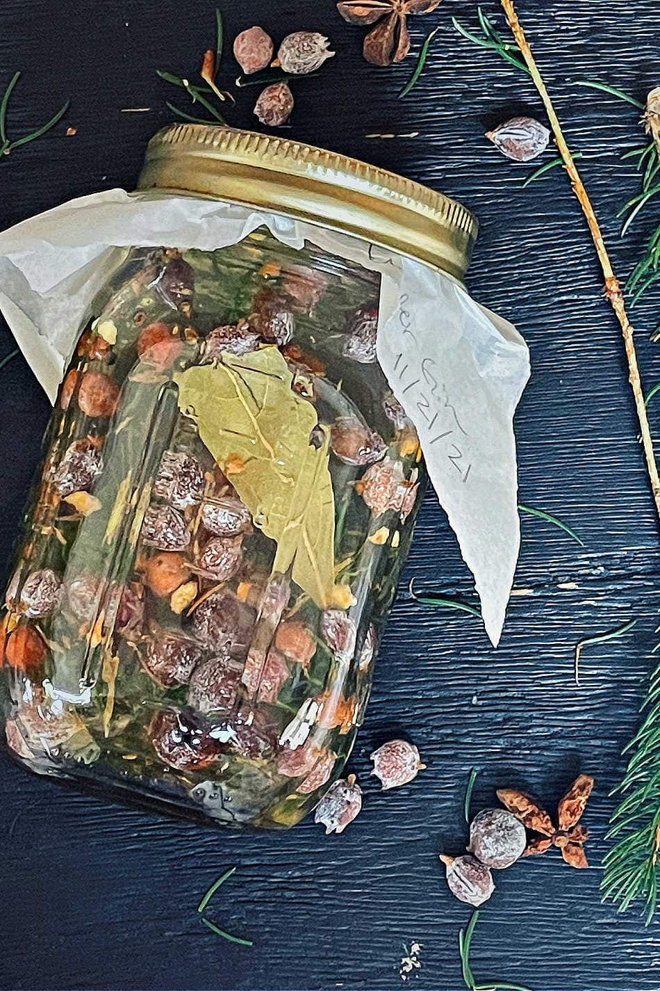 foraging winter herbs for winter-infused herbal gin