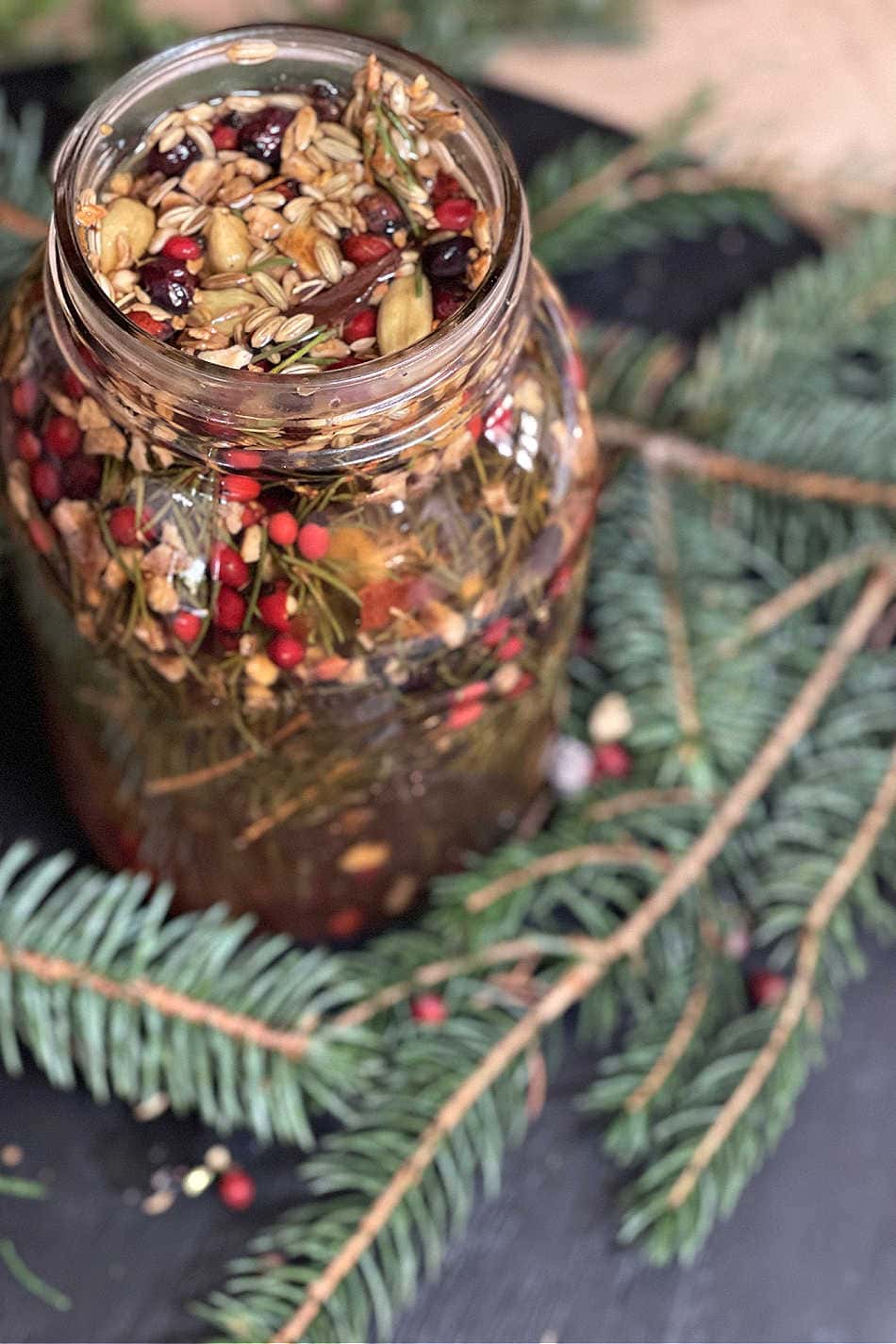 foraging winter herbs for winter-infused herbal tonic syrup