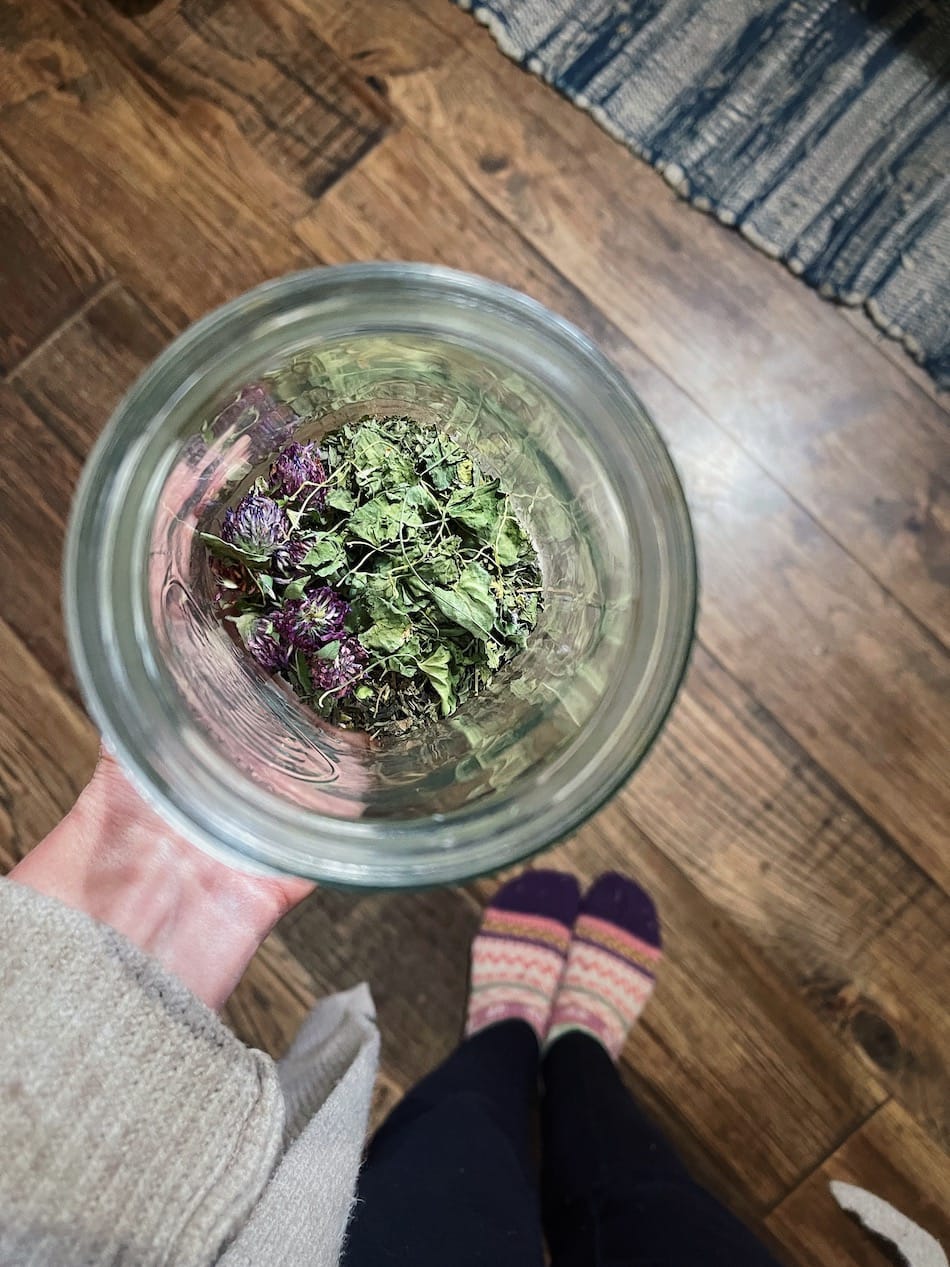 My Week With Covid: Herbal Recipes for Viral Support | Growing Up Herbal | Here's my Covid-19 story -- how my symptoms progressed, what I did to care for myself, and herbal recipes I used for viral support.