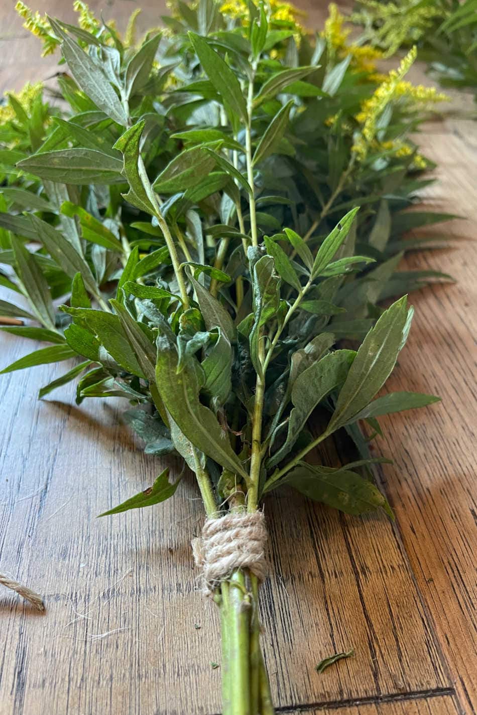 Appalachian Folklore: How To Make A Goldenrod Blessing Broom | Growing Up Herbal | Learn how to make a goldenrod blessing broom and the Appalachian folklore behind this fine seasonal craft project.
