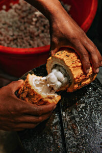 Aphrodisiac Herbs: Cacao (Plus 9 Ways to Put It to the Test)