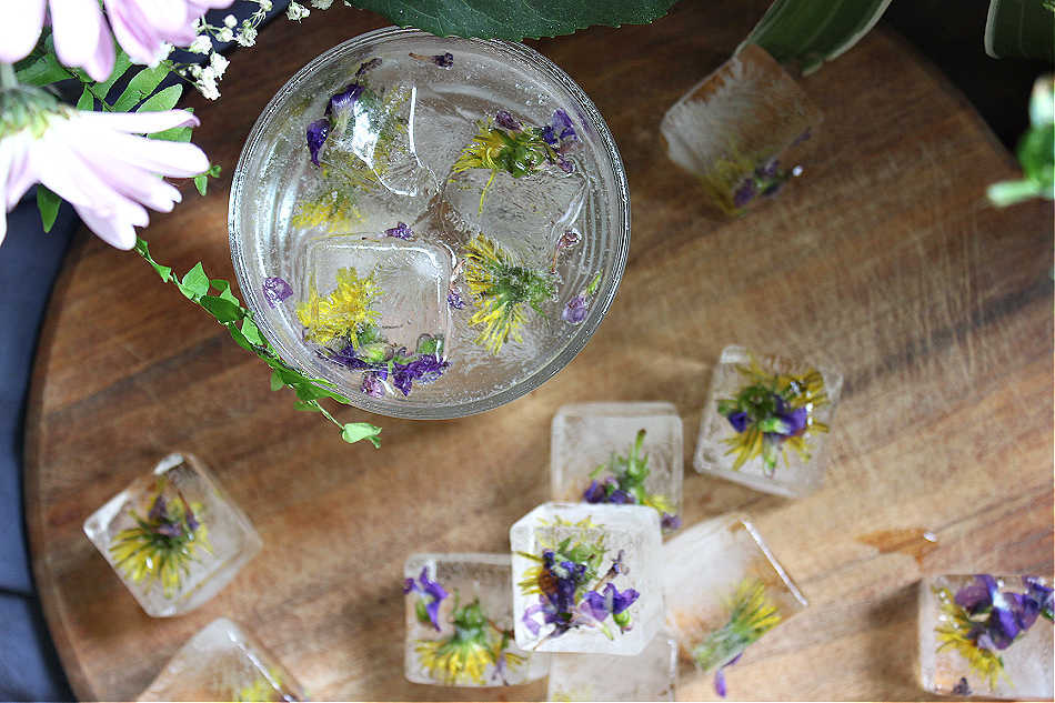 DIY Flower Ice Cubes | Growing Up Herbal | Learn how to make flower ice cubes (without all the flowers floating to the top) and which edible flowers to use in this botanical DIY!