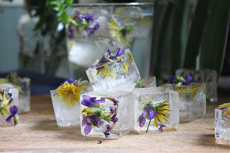 How to Make the Perfect Edible Flower Ice Cubes + How to Use Them