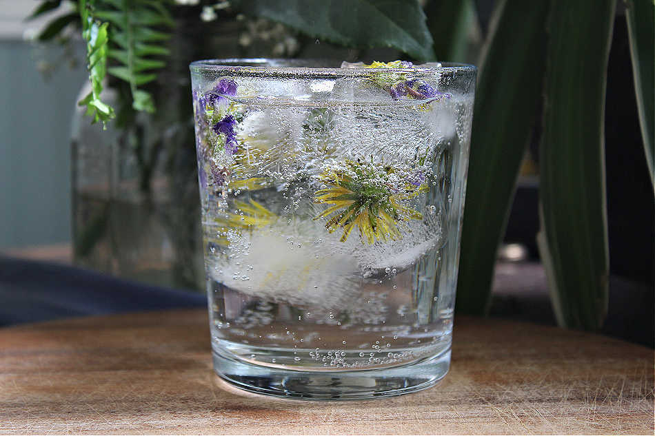 DIY Flower Ice Cubes | Growing Up Herbal | Learn how to make flower ice cubes (without all the flowers floating to the top) and which edible flowers to use in this botanical DIY!