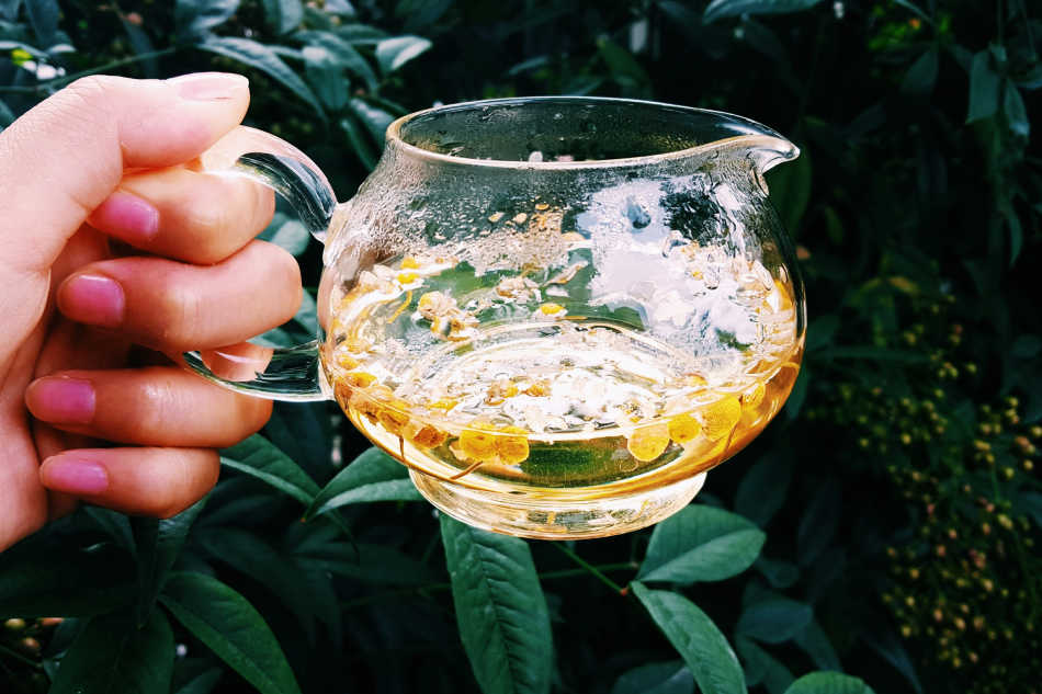 Chamomile Eye Wash for Infected Eyes | Growing Up Herbal | Learn how to make and use a chamomile eye wash for inflamed, irritated, infected eyes to help you recover as naturally as possible.