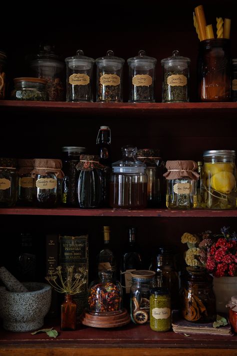 5 Inspiring Home Apothecary Ideas | Growing Up Herbal | Home apothecary ideas to inspire you on your herbal journey as you learn how to use herbs and make a variety of herbal preparations. 