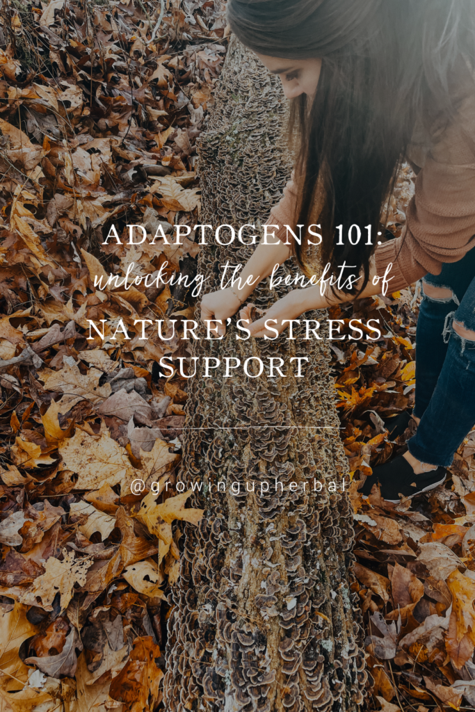 Adaptogens 101: Unlocking the Benefits of Nature's Stress Support | Growing Up Herbal | Discover 8 herbal adaptogens, their powerful benefits for stress support, energy, and focus, who they're for, and how to use them. 