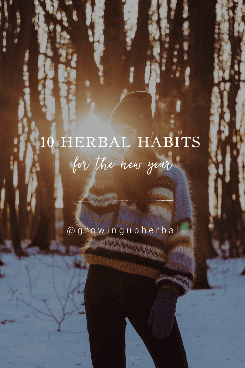 Simple Herbal Teas for Winter Wellness | Growing Up Herbal | Looking for healthy, wellness-promoting herbal teas for winter? Look no further! Here are three teas to support your health all season long.