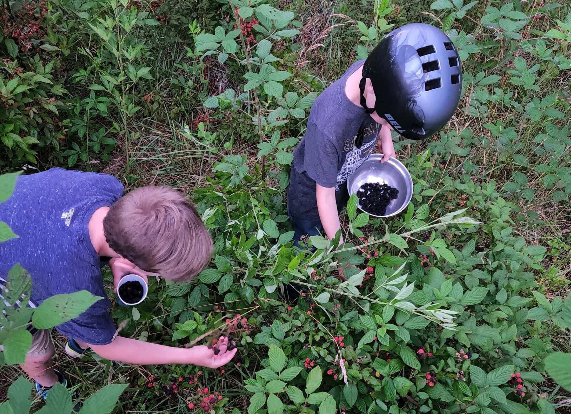 Life Lately: Embracing Summer | Growing Up Herbal | Summer is busy here in East Tennessee. Here's what we've been up to this season.