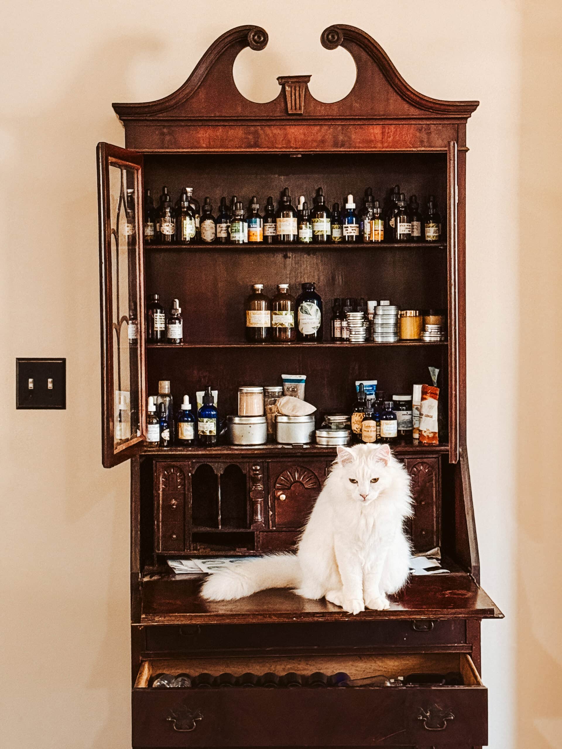 How I Prepare for Seasonal Ailments | Growing Up Herbal | One of the responsibilities of a family herbalist is to prepare for seasonal ailments that are likely to affect your family. Here's how!