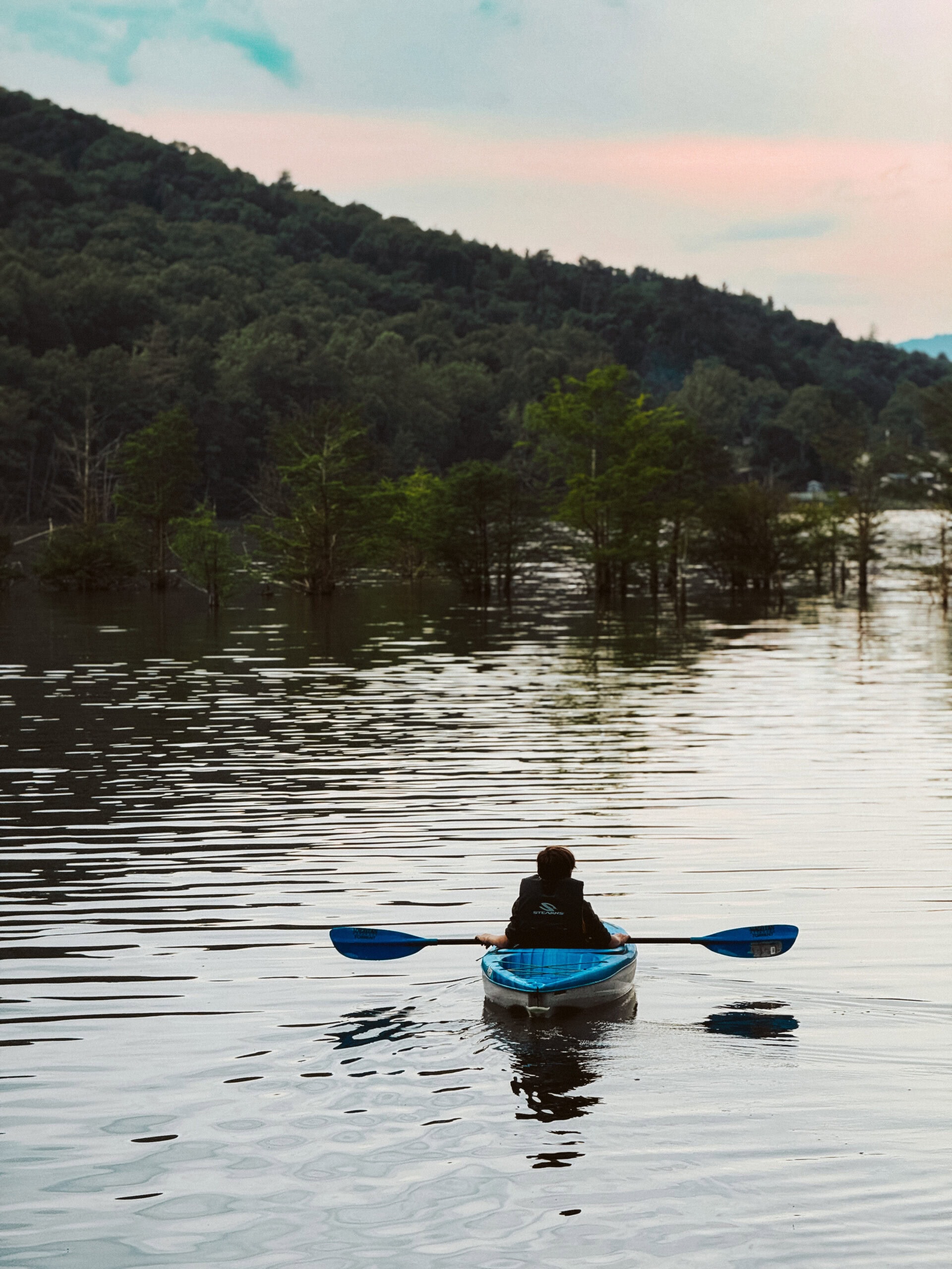 Lake Days, Honeysuckle Harvests, and Natural Bug Sprays | Growing Up Herbal | Join us for a lake adventure in upper East Tennessee where we harvest honeysuckle and use natural bug repellents to keep the pests away.