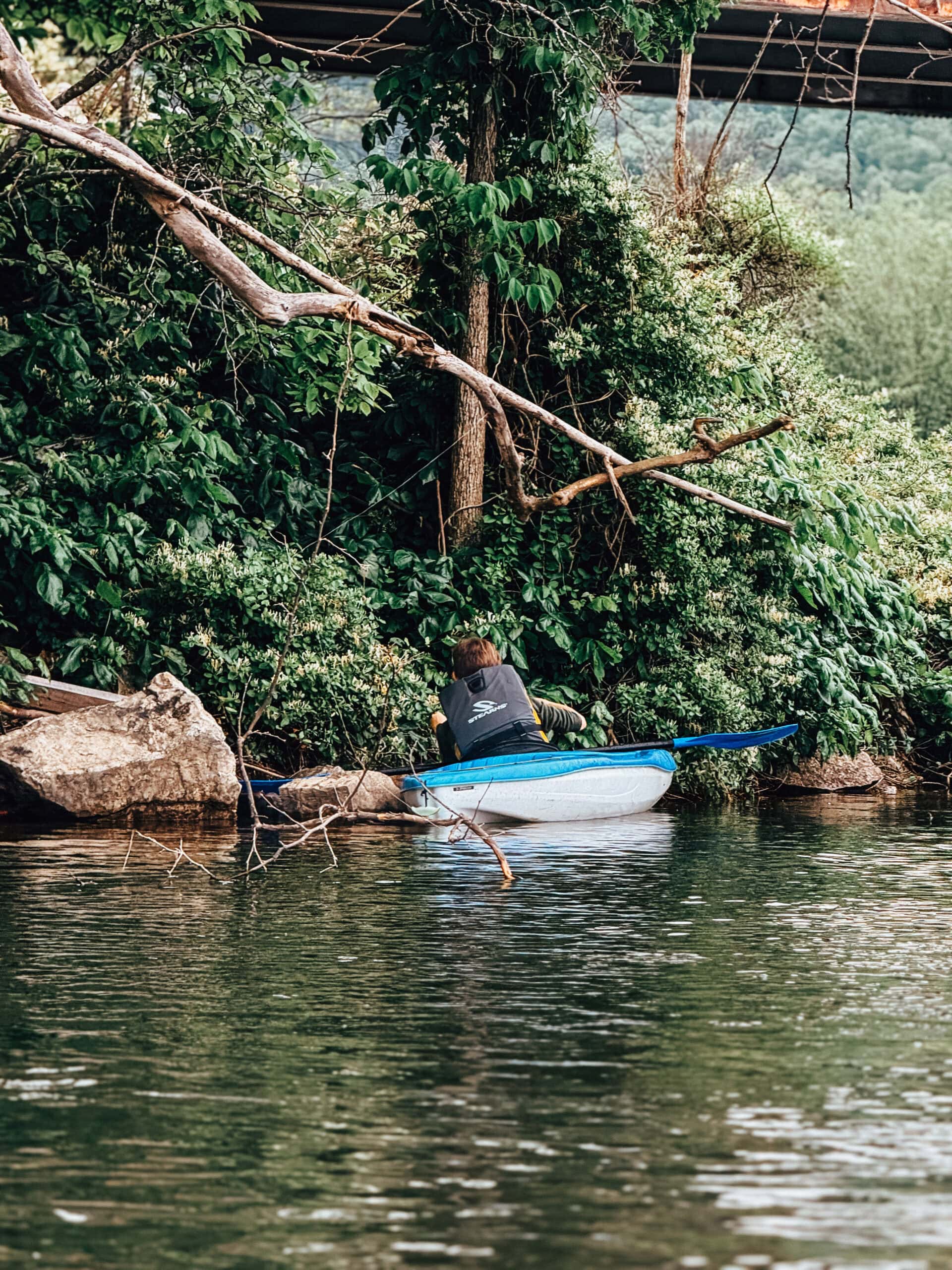 Lake Days, Honeysuckle Harvests, and Natural Bug Sprays | Growing Up Herbal | Join us for a lake adventure in upper East Tennessee where we harvest honeysuckle and use natural bug repellents to keep the pests away.