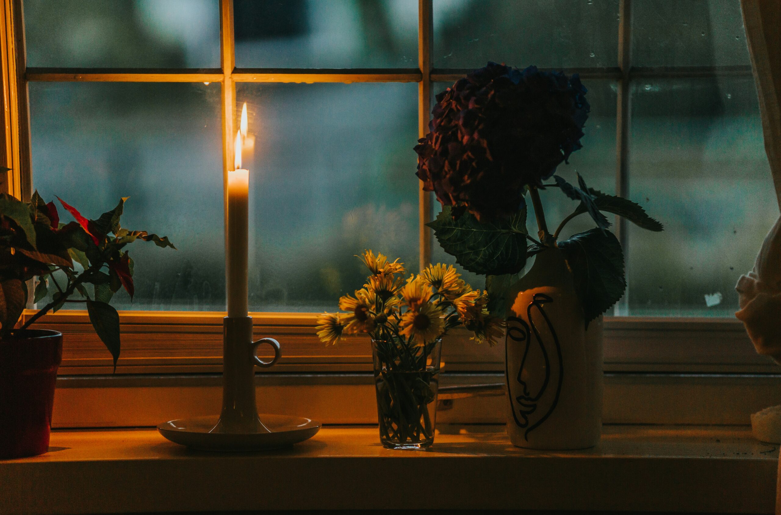 Winter Wellness: Lifestyle and Herbal Supports for the Season | Growing Up Herbal | Here are some things I'm doing to do to support winter wellness for myself this year — from lifestyle, seasonal, and herbal practices.