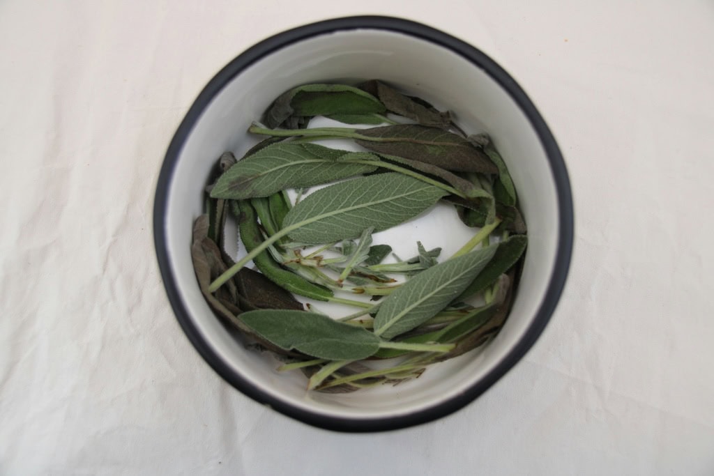 The Family Herbalist’s Year: What to Focus on First | Growing Up Herbal | Want to become a family herbalist? Here's what you need to know and what you need to do to make it happen this year. 