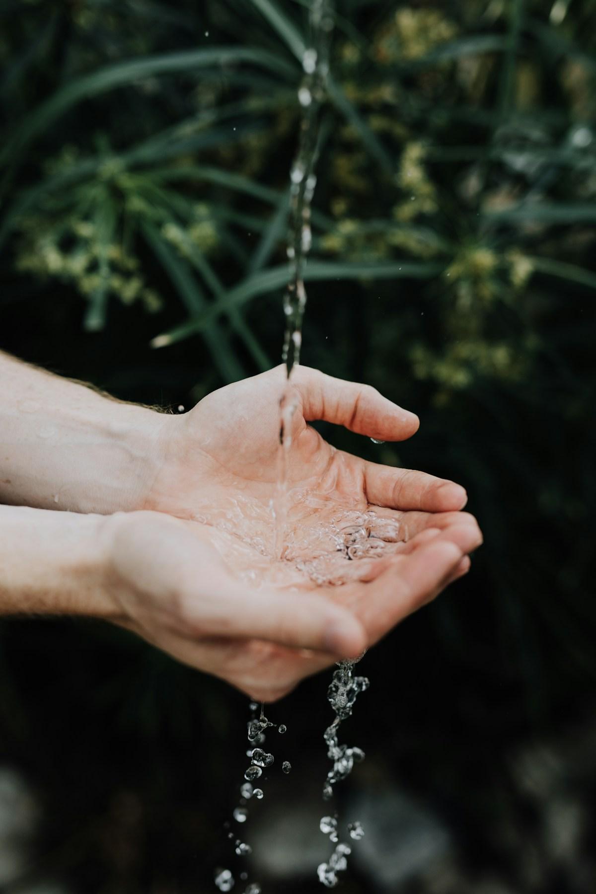 Spring Teas: Lymph Love Tea Blend | Growing Up Herbal | Spring is here and that means it's time to show your lymphatic system some love. Here's a tasty tonic Lymph Love tea blend to sip all season.