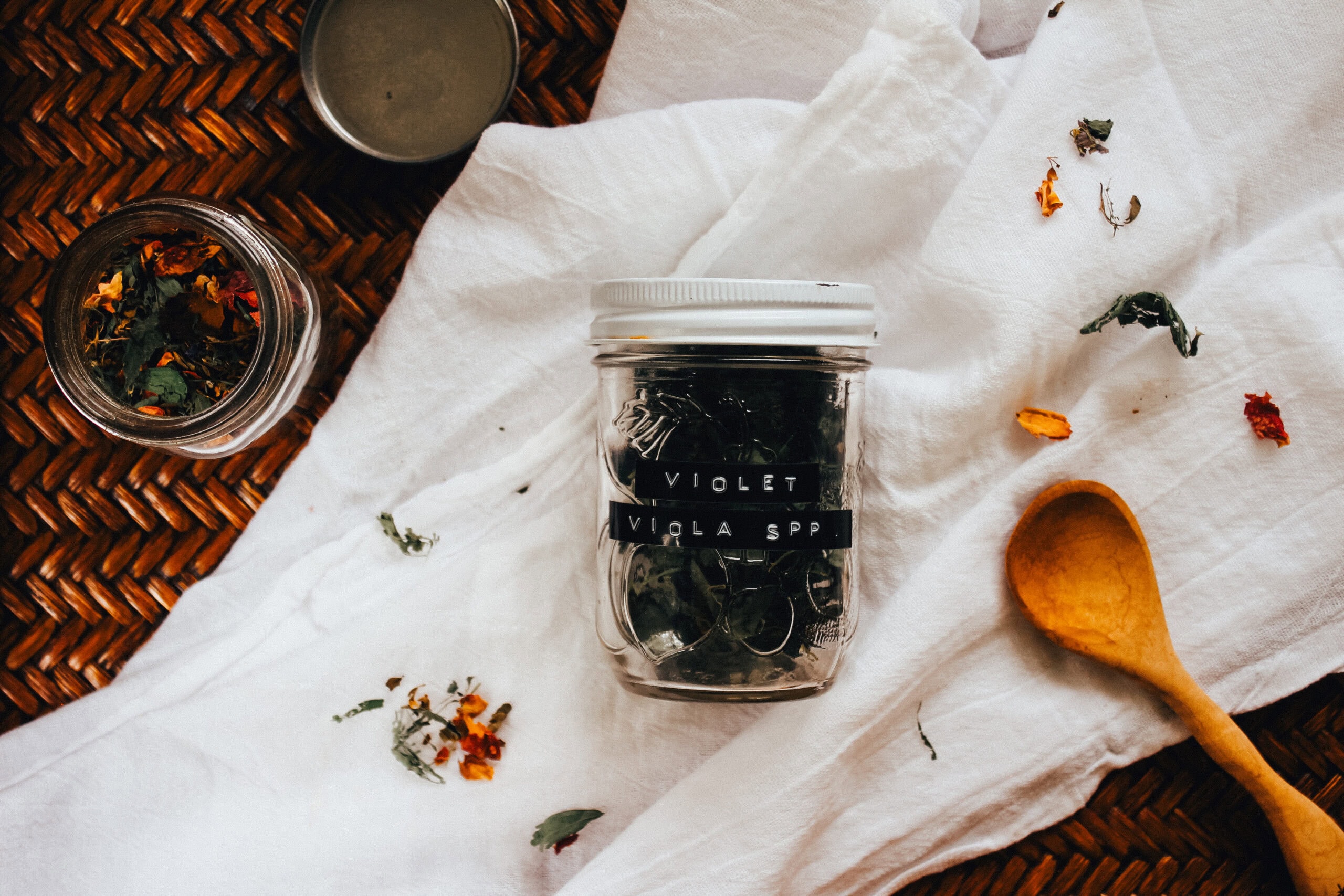 Violet for the Nervous System + A Daily Ritual | Growing Up Herbal | Learn how to use violet to support your nervous system on a daily basis, including a nerve-nouishing tea blend to make and use regularly.