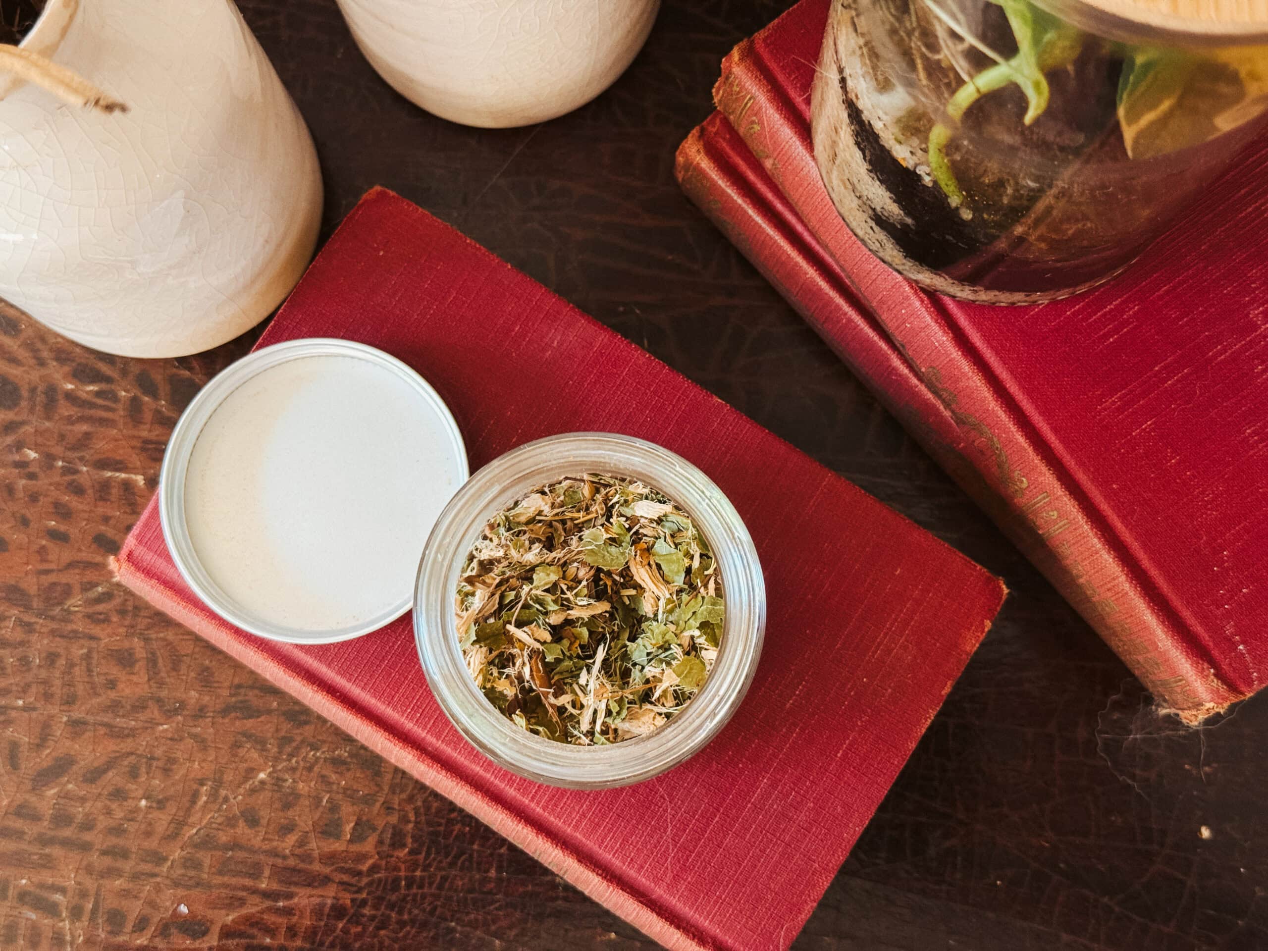 Violet for the Nervous System + A Daily Ritual | Growing Up Herbal | Learn how to use violet to support your nervous system on a daily basis, including a nerve-nouishing tea blend to make and use regularly.